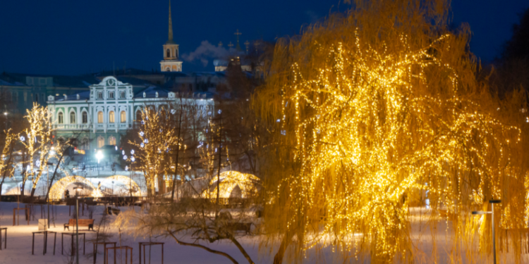 Артемов: установить иллюминацию в Рязани осталась в Нижнем горпарке и Кремлевском сквере