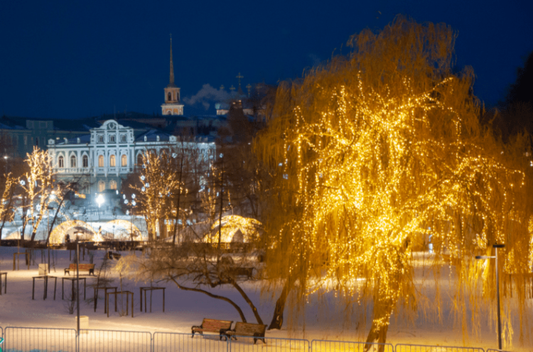 Артемов: установить иллюминацию в Рязани осталась в Нижнем горпарке и Кремлевском сквере