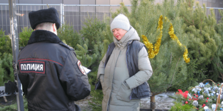В Рязани прошел рейд по незаконной торговле елями В Рязани прошел рейд по незаконной торговле елями