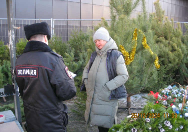 В Рязани прошел рейд по незаконной торговле елями
