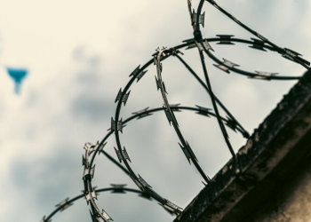 В рязанский СИЗО в упаковке с говядиной попытались передать телефоны В рязанский СИЗО в упаковке с говядиной попытались передать телефоны