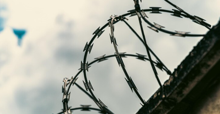 В рязанский СИЗО в упаковке с говядиной попытались передать телефоны