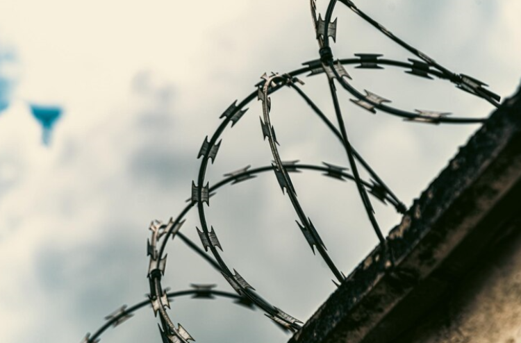 В рязанский СИЗО в упаковке с говядиной попытались передать телефоны