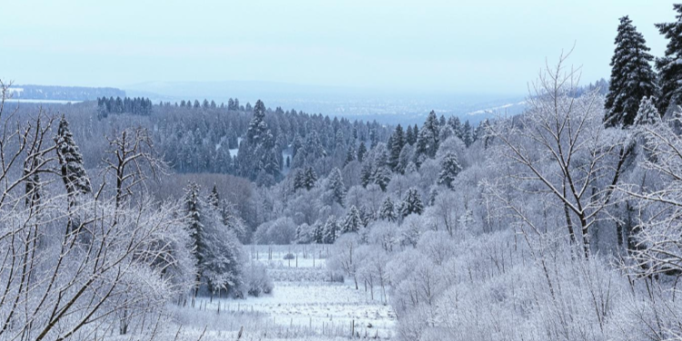 В воскресенье в Рязанской области потеплеет до +1 градуса