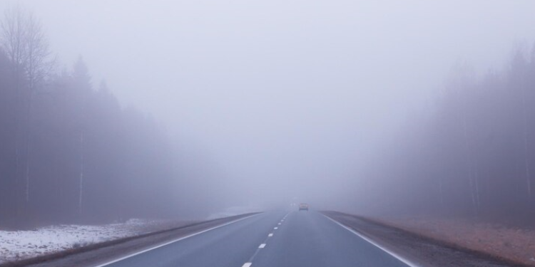 МЧС Рязанской области предупредило о густом тумане 29 декабря