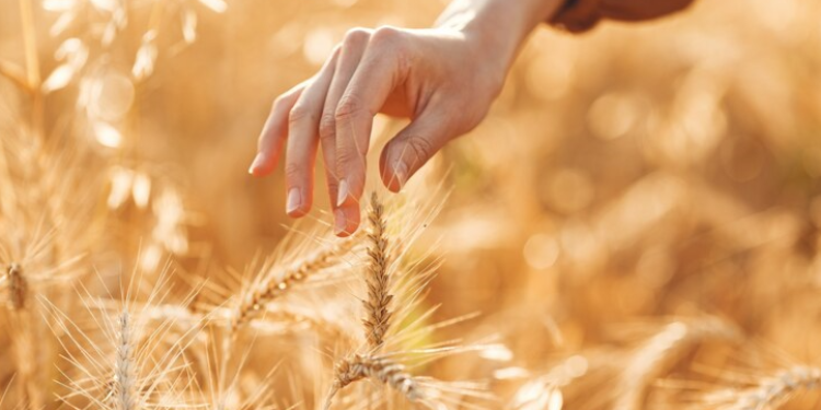 Рязанцам предлагают зарплату в размере 121 тысячи рублей в сфере АПК