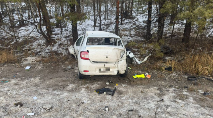 В ДТП в Клепиковском районе погибли два человека
