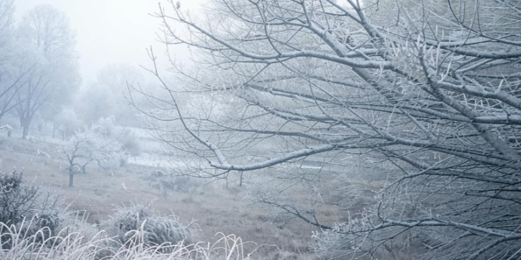 В пятницу в Рязанской области ожидается мокрый снег и до +5 градусов