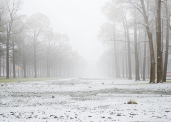 Позднякова: аномальное тепло продлится в Центральной России до Старого Нового года