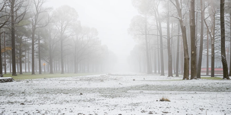 Позднякова: аномальное тепло продлится в Центральной России до Старого Нового года