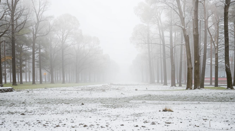 Позднякова: аномальное тепло продлится в Центральной России до Старого Нового года