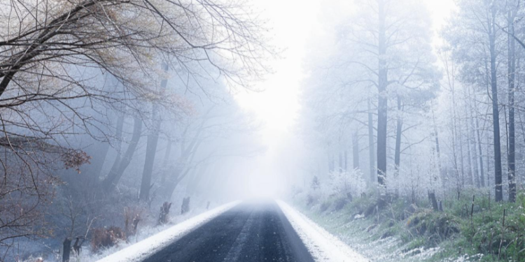 Гидрометцентр: крещенских морозов в Рязанской области не ожидается Гидрометцентр: крещенских морозов в Рязанской области не ожидается