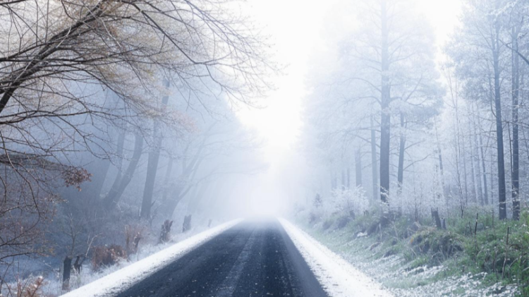 Гидрометцентр: крещенских морозов в Рязанской области не ожидается