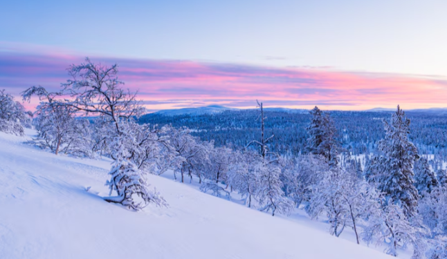Во вторник в Рязанской области ожидается небольшой снег и до -6 градусов