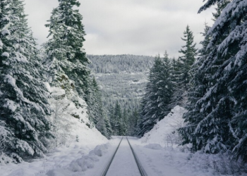 Тишковец: до конца января в Центральной России не ожидаются сильные холода