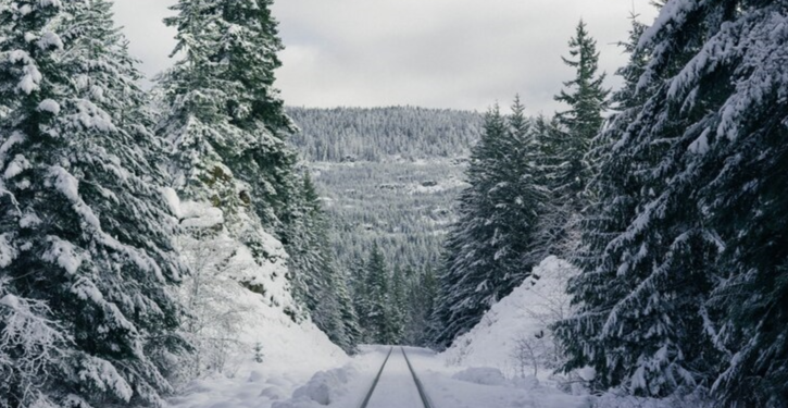 Тишковец: до конца января в Центральной России не ожидаются сильные холода