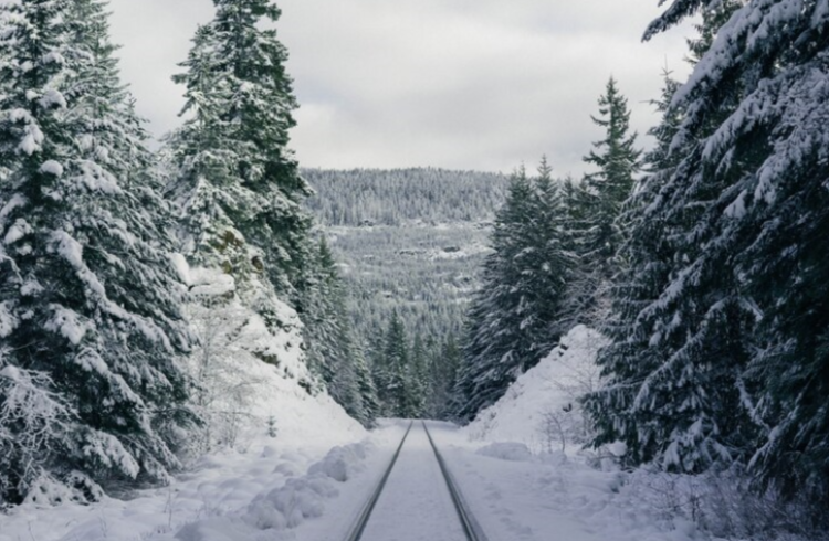 Тишковец: до конца января в Центральной России не ожидаются сильные холода