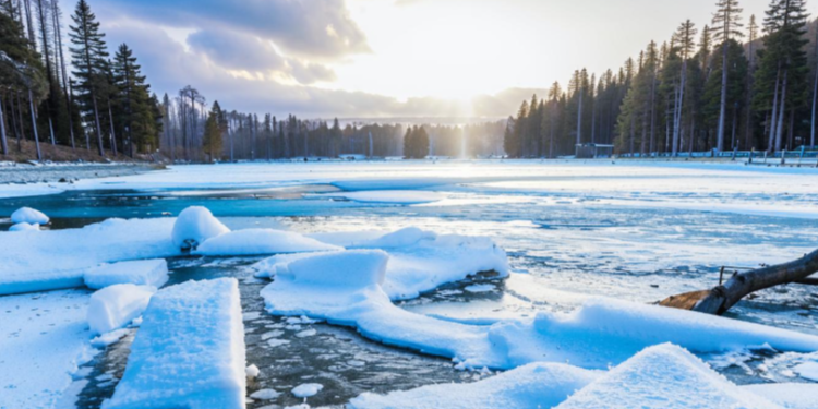 В четверг в Рязанской области ожидается небольшой снег и до +2 градусов