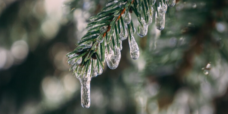 В пятницу в Рязанской области ожидается мокрый снег и до +5 градусов