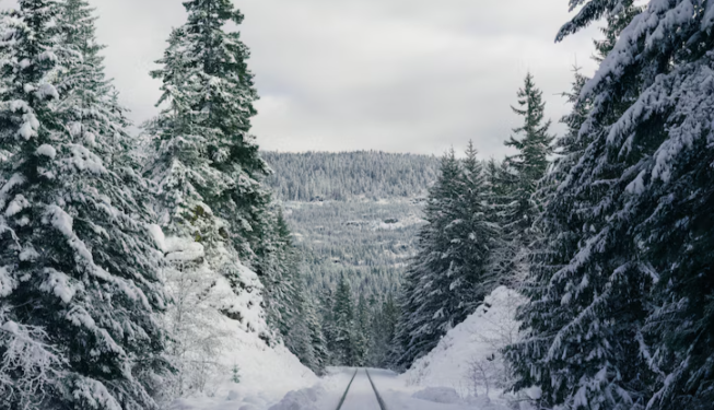 С 20 января в Рязанской области начнется похолодание