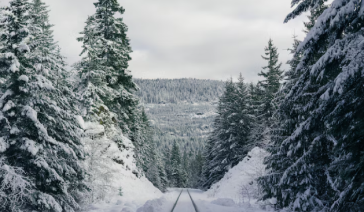 С 20 января в Рязанской области начнется похолодание