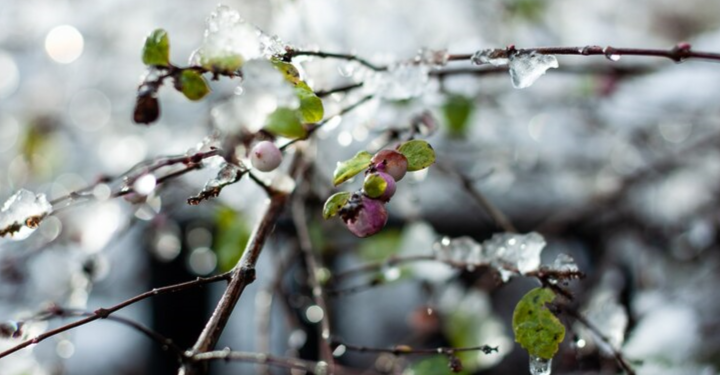 Синоптик Леус: в выходные жителей Центральной России ждет теплая погода