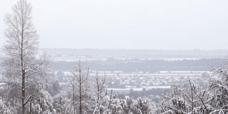 В пятницу в Рязанской области ожидается небольшой снег и до -6 градусов