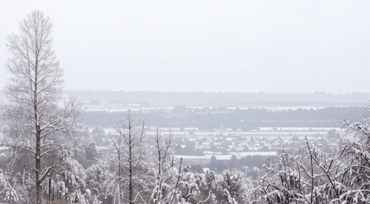 В пятницу в Рязанской области ожидается небольшой снег и до -6 градусов