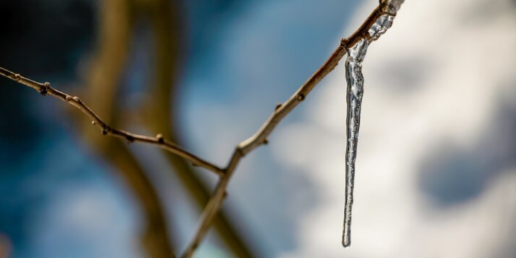 Тишковец: февраль в Центральной России будет теплее нормы на 3-5 градусов