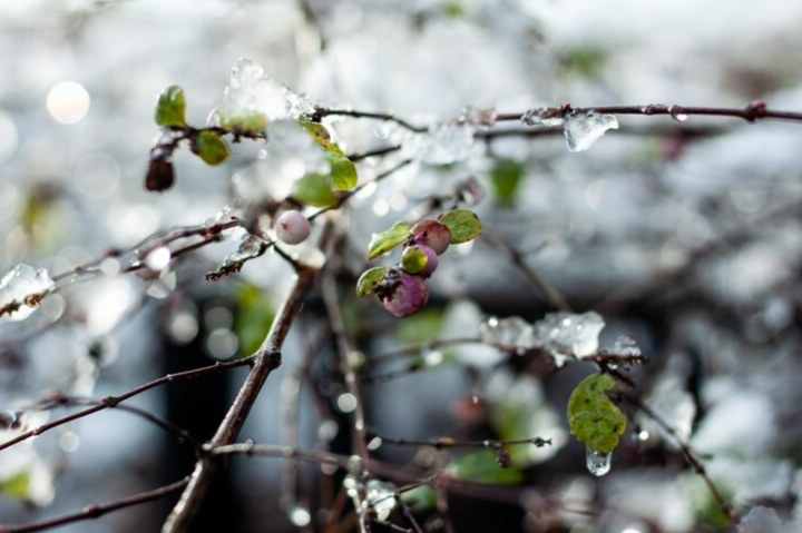 В воскресенье в Рязанской области потеплеет до +4 градусов