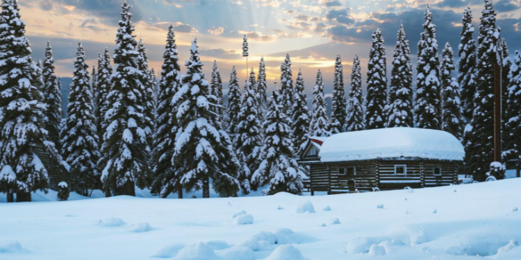 Тишковец: зима вернется в Центральную Россию в последние выходные февраля Тишковец: зима вернется в Центральную Россию в последние выходные февраля