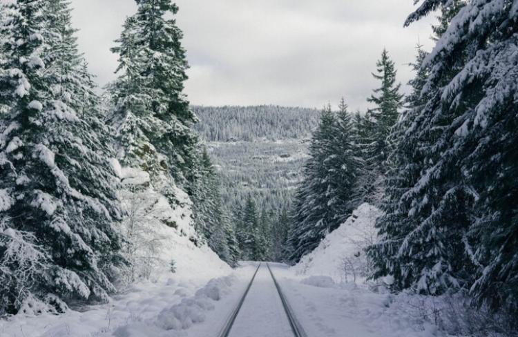 Во вторник в Рязанской области ожидается гололедица и до -7 градусов