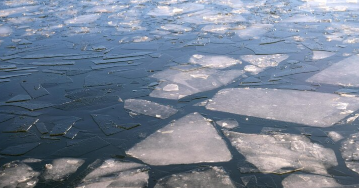 В Шиловском районе из водоема спасатели достали труп мужчины