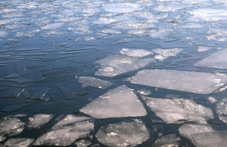 В Шиловском районе из водоема спасатели достали труп мужчины