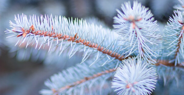 Вильфанд: температура воздуха в Центральной России впервые опустится ниже климатической нормы Вильфанд: температура воздуха в Центральной России впервые опустится ниже климатической нормы