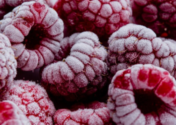 Врач Стародубова: замороженные ягоды помогают поддерживать здоровье и иммунитет