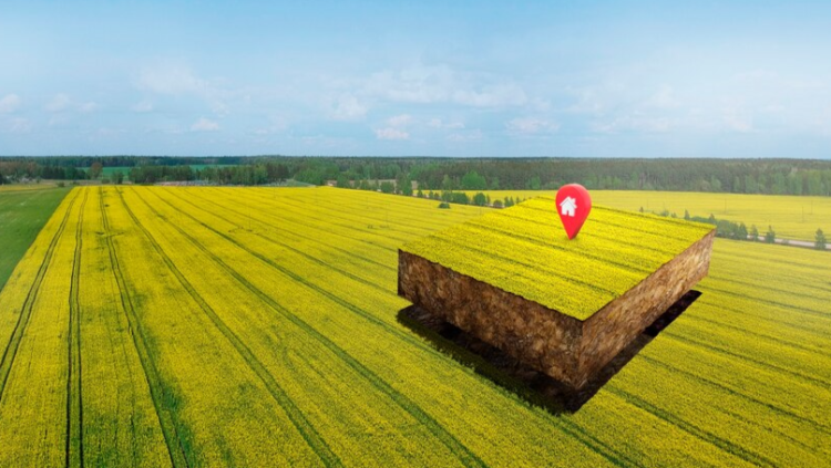 С 1 марта в России запретят регистрировать земельные участки без внесения их границ в ЕГРН