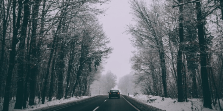 Рязанцев предупредили о сильном тумане