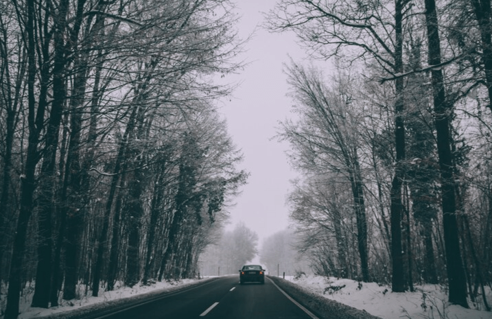 Рязанцев предупредили о сильном тумане