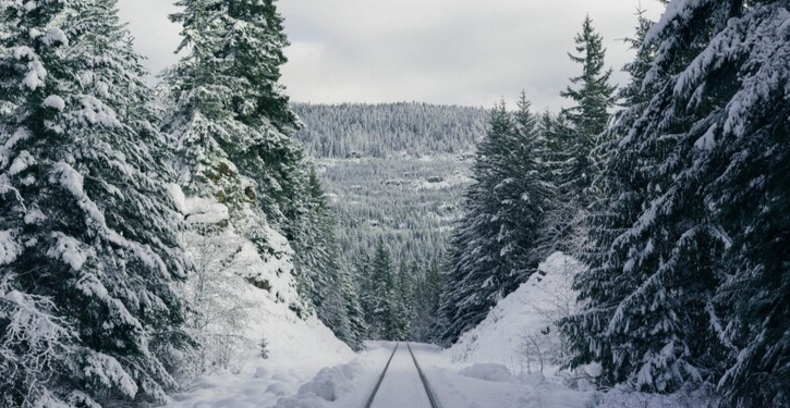 В ночь на пятницу в Рязанской области похолодает до -13 градусов