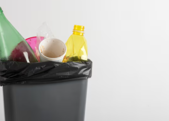 В Рязанской области начали следить за вывозом отходов по онлайн-камерам