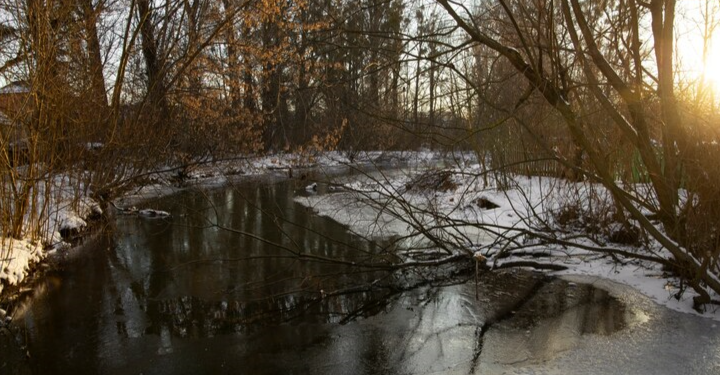 Гидрометцентр: уровень воды в Рязанской области весной ожидается ниже нормы
