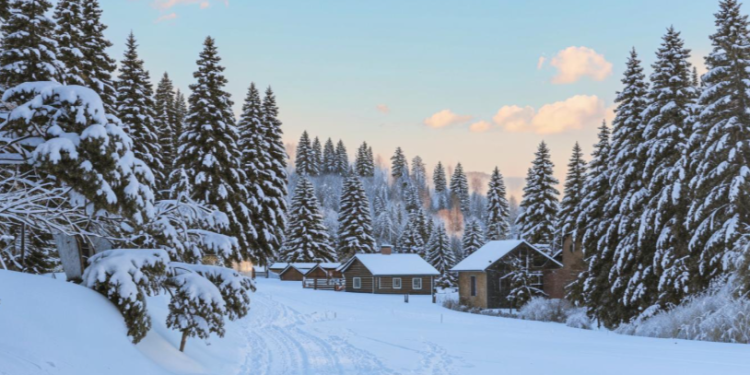 В ночь на вторник в Рязанской области похолодает до -19 градусов