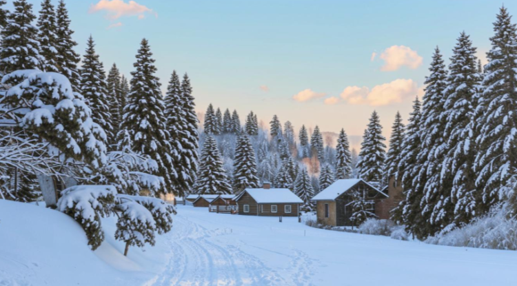 В ночь на вторник в Рязанской области похолодает до -19 градусов