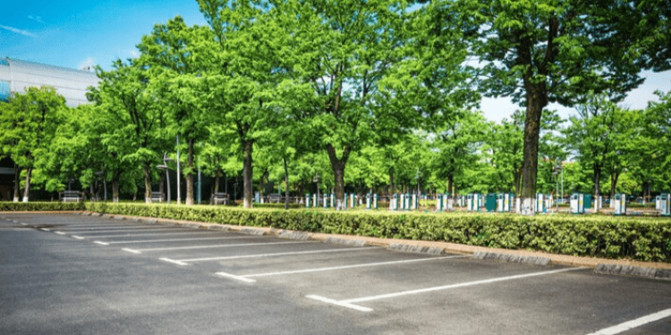 На рязанском проезде Речников появится экопарковка На рязанском проезде Речников появится экопарковка