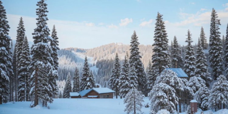 Метеоролог Макарова: в конце недели в Центральной России может начаться оттепель Метеоролог Макарова: в конце недели в Центральной России может начаться оттепель