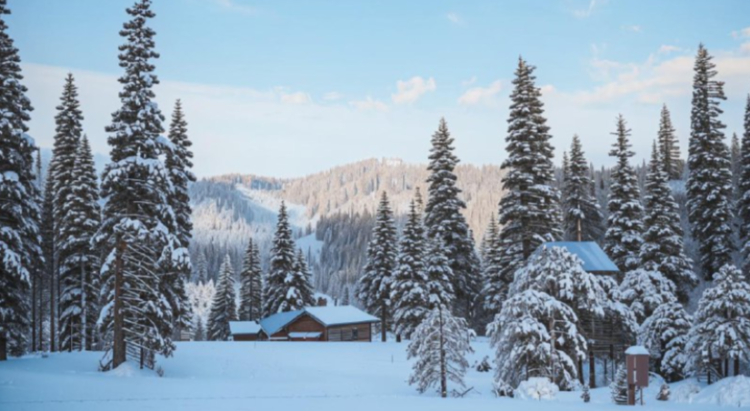 Метеоролог Макарова: в конце недели в Центральной России может начаться оттепель