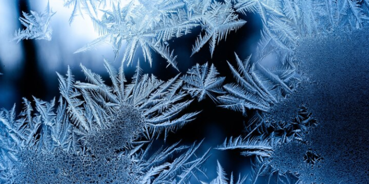 Дерматолог Кураева: долгое пребывание на морозе может привести к куперозу и аллергии