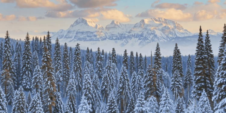 В среду в Рязанской области ожидается умеренный снег и до -9 градусов