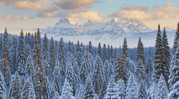 В среду в Рязанской области ожидается умеренный снег и до -9 градусов